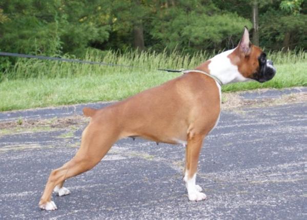 Chelsey Von Hofmannstal