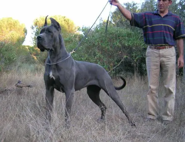 Altae des Colonnes E Chaux