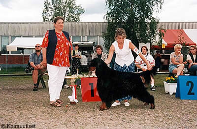 CH (US) Rivermist Square Dancer