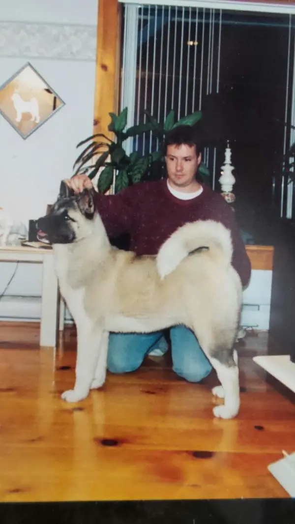 AKC/CAN CH Goshen Jodi DeLauclair