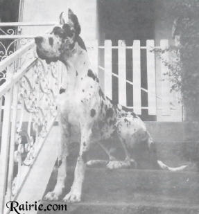 CH FRA Viborg du Clos Templerie