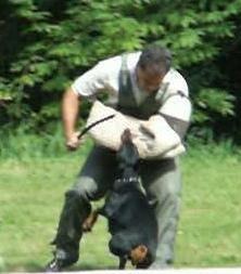 Lussi von der Krillenburg