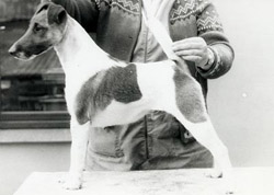 Rasko von der Bismarckquelle