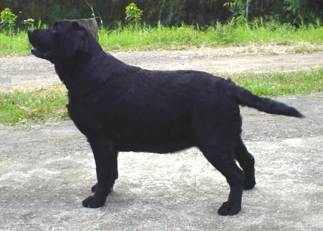 Trendmaker's Trick or Treat