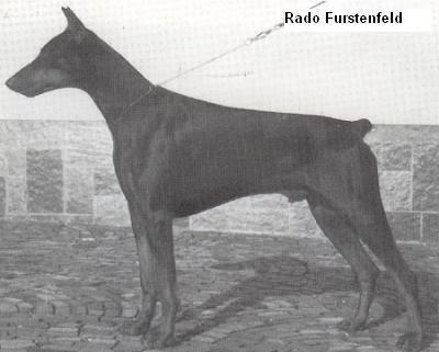 Rado Von Fuerstenfeld