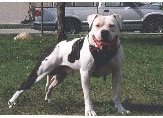 Walz's Buster/Leatherneck's Whales