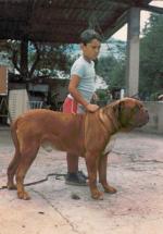 Anazo De Canchas Ibaken