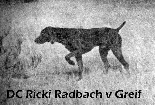 DCh. Ricki Radbach v Greif