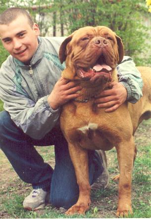 Iroc De La Gaie Maisonnee