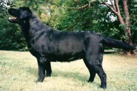 Loresho Noblesse Oblige