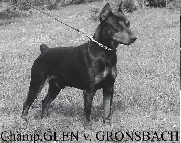 GLEN von Cronsbach