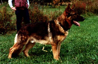 SG Basko von der Notburgahöhle