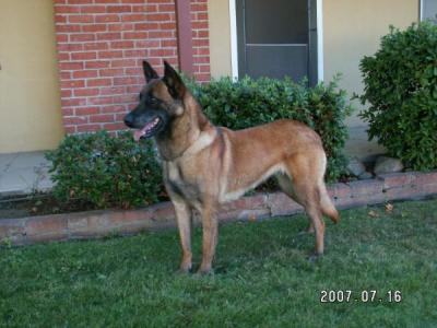 Vision du Chateau de Kama