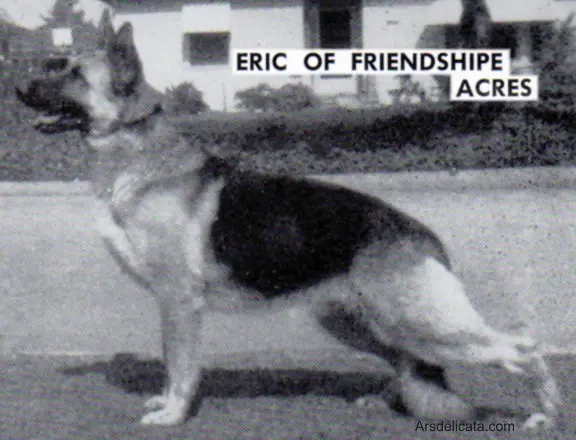 Eric of Friendship Acres