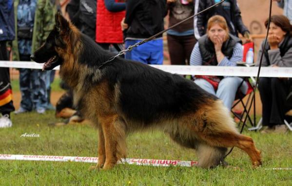 V (JCHRSVNO) Marvil Junion Tseys