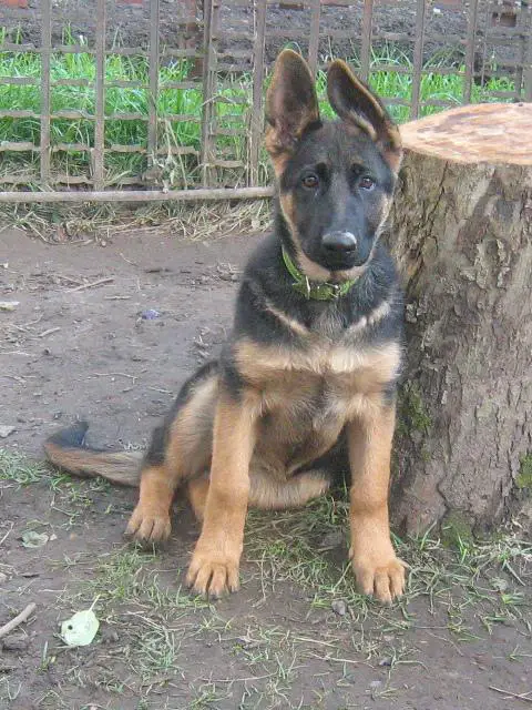 Huncha Kiyara so Slavjanskoy Dushoy