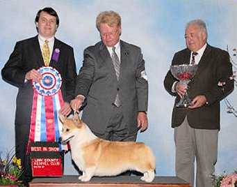 CH Coventry Vanity Fair