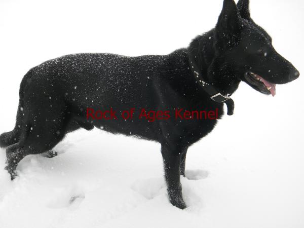 Rock of Ages Master Jedi