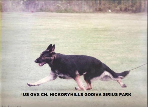 2004 GVX CH (US) Hickoryhills Godiva Siriuspk