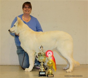 Jeppetollern`s Binni Borka