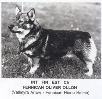 C.I.B. Fennican Oliver Ollon