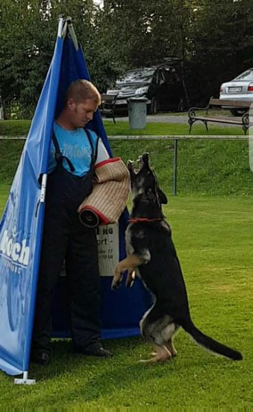 G Arielle vom Dreizack