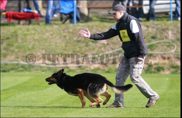 SG Hasko z Perstatskeho mlyna