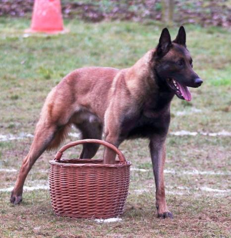 CH Carambar Au Paradis d'Orsy