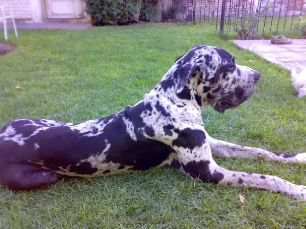 Eros Emelion Liberte