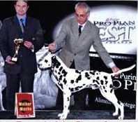 Taquari of the Ebony Spots