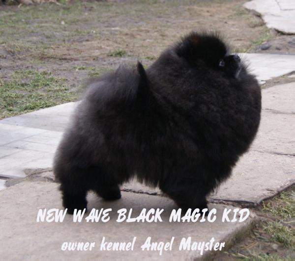 JCHRUS New Wave Black Magic Kid