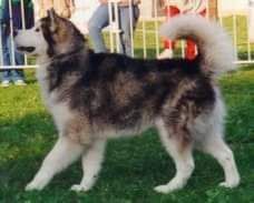 Cold Valley's Last Edition