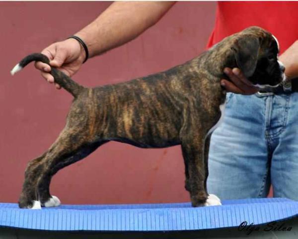 Olga do vale do Lethes