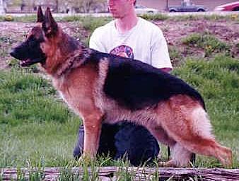 SG Body von Arminius