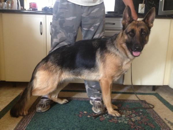 Nelda Vom Haus Christa