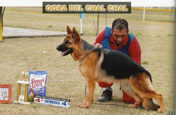 Qora del Chal Chal