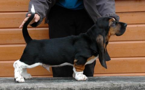 Lulubelle's Ideal Image