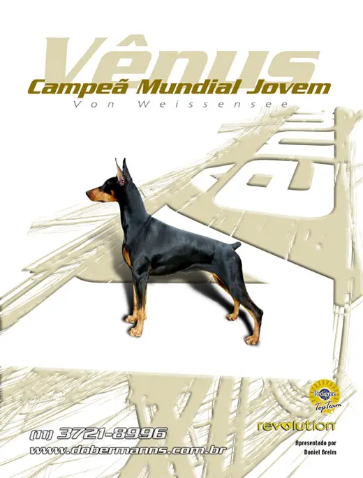 Venus Von Weissensee