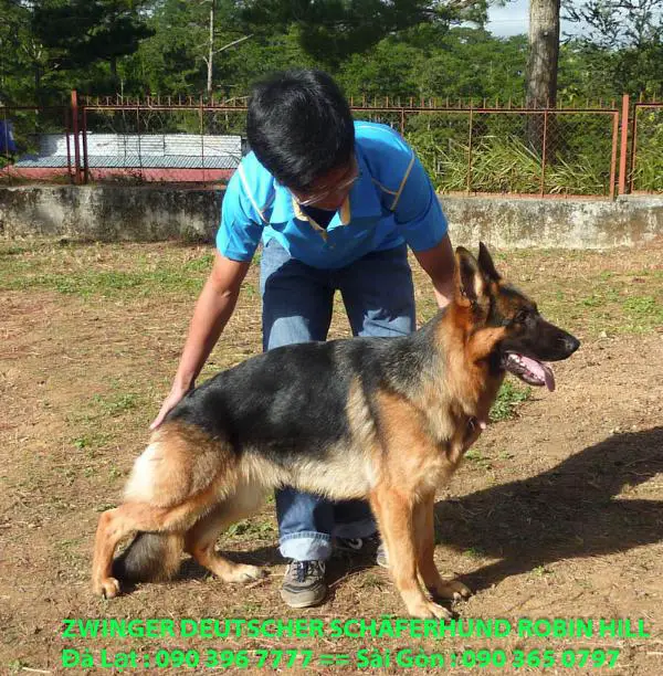 Sidney vom Osterberger-Land