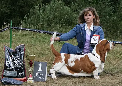 Eleonora Z valachitu