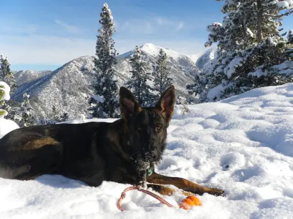 Xtreme Havoc Von Den Hoehenluft