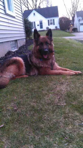 Marlee vom Schlossfelsen