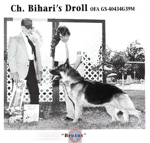 CH (US) Bihari's Droll
