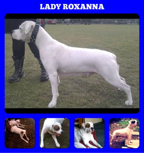 Lady Roxanna