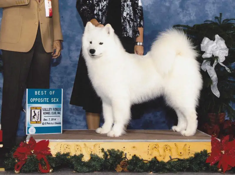 GCH MoonMagics Total Eclipse Of The Moon