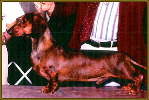 Pruitts Red Ripper