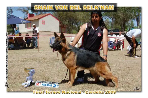 Shaik von del selk´nam