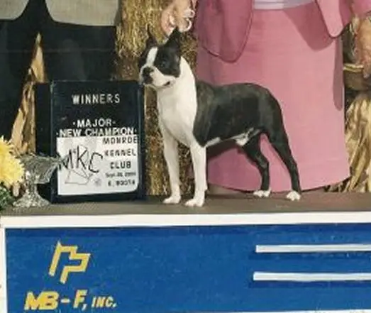 Annalee's Link to Sunwood