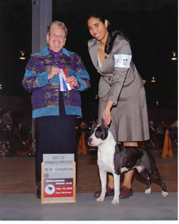 Cirkle C's Gabbrilla