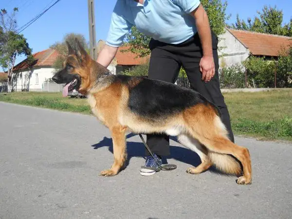 Hammer di casa Ardigo